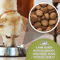 Dr John Hypoallergenic Lamb and Rice 15kg